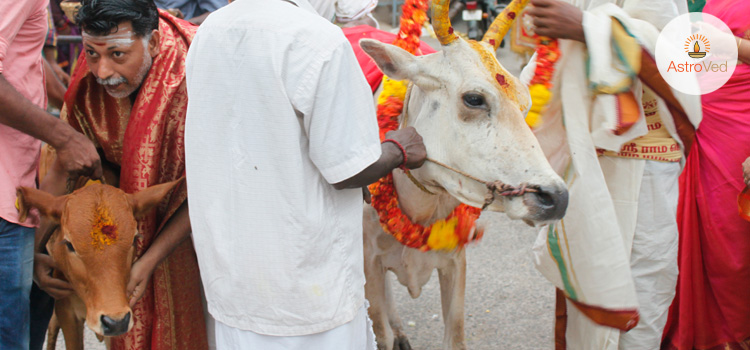 akshaya-tritiya-celebration