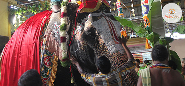 akshaya-tritiya-celebrations