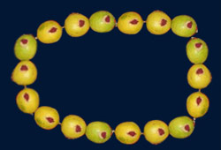 Lemon-mala