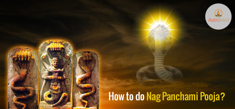 How to do Nag Panchami Pooja?
