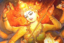 நவ சண்டி ஹோமம்