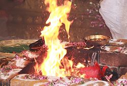 Subramanya Moola Mantra Homa