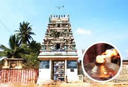 Archana (Pooja) at Abhaya Varadeeswarar Powerspot for Arudra Star