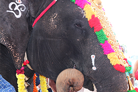 Gaja Pooja