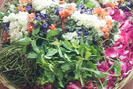 Offering of Tulsi and Flowers Offering of Tulsi and Flowers