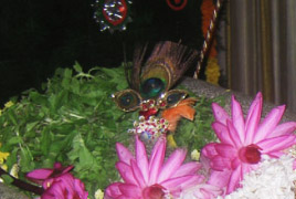 Tulsi and Lotus Mala Tulsi and Lotus Mala