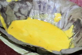 Chandana Kappu Chandana Kappu