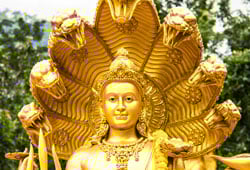 Sஸ்ரீ வேங்கடேச சகஸ்ரநாம அர்ச்சனை