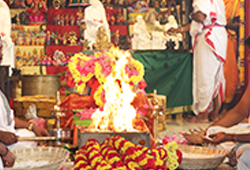  Dattatreya Shirdi Sai Baba Hom