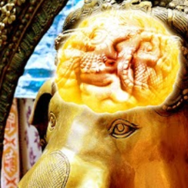 Ganeshas Miracle Brain: Acquire the Power of the Miracle Brain