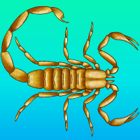 Scorpio Dec  Podcast