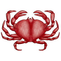 Cancer October  Podcast