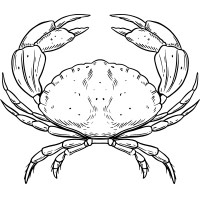 Cancer Rahu Ketu Podcast