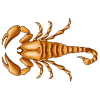 Scorpio October  Podcast