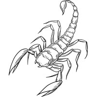 Scorpio Rahu Ketu  Podcast