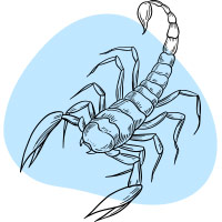 Jan  Scorpio Podcast