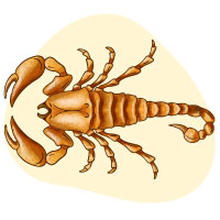 Scorpio Feb  Podcast