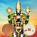 Santhana Srinivasa Perumal Moola Mantra Energized 