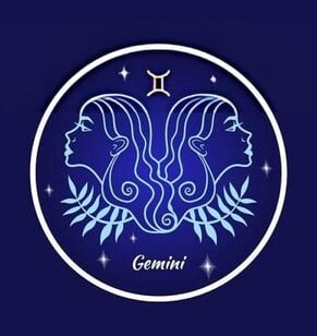 Gemini Sign