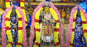 Aadi Krithigai - 2025