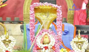 Naga Chaturthi And Panchami (7)