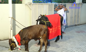 Varalakshmi Viratham 2025 2